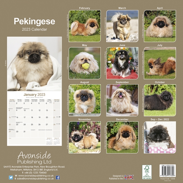 Kalender 2023 Pekinese Palasthund