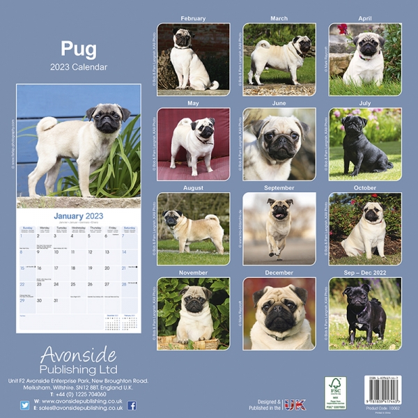 Kalender 2023 Mops Pug