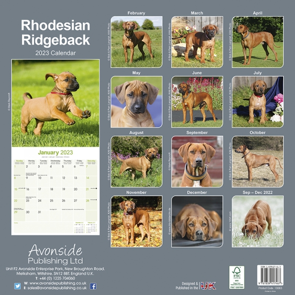Kalender 2023 Rhodesian Ridgeback