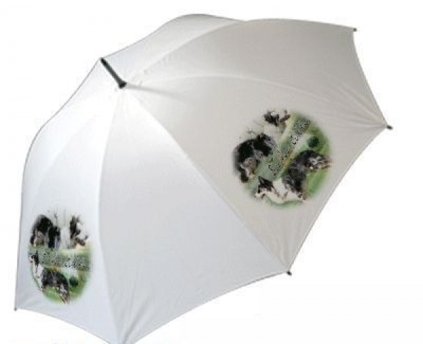 Regenschirm Motiv Border Collie 4