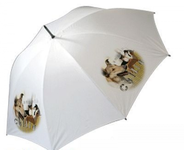 Regenschirm Motiv Collie 2 Kurzhaar