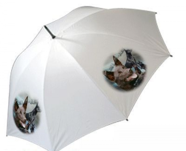 Regenschirm Motiv Kelpie / Australischer Schäferhund