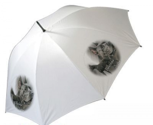 Regenschirm Motiv Deutsche Dogge 4 schwarz / blau