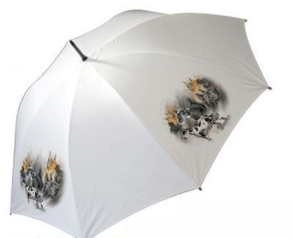 Regenschirm Motiv Deutsche Dogge mix 1