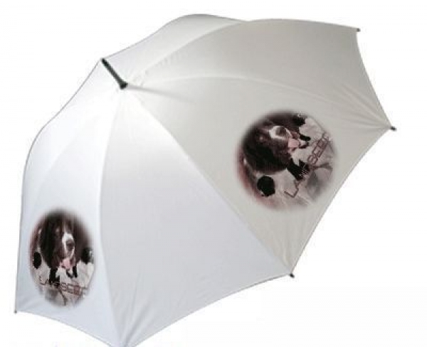 Regenschirm Motiv Landseer
