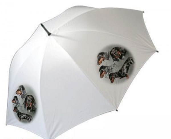 Regenschirm Motiv Kurzhaar Zwerg Teckel Dackel Dachshund
