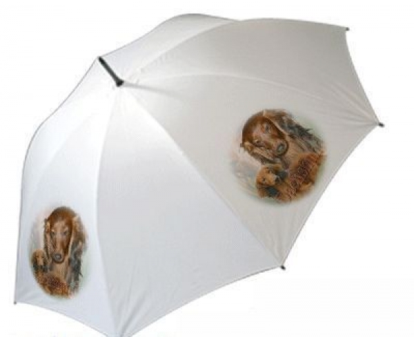 Regenschirm Motiv Langhaar Dackel Dachshund Teckel