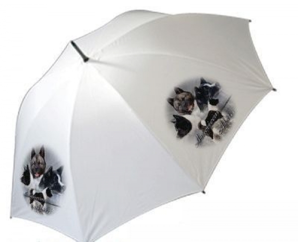 Regenschirm Motiv American Akita