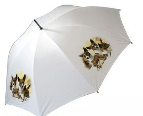 Regenschirm Motiv Basenji