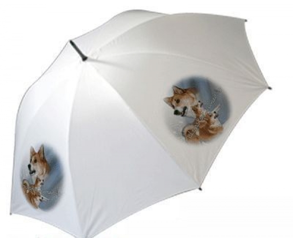 Regenschirm Motiv Islandhund