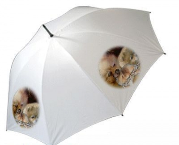Regenschirm Motiv Pomeranian Zwergspitz