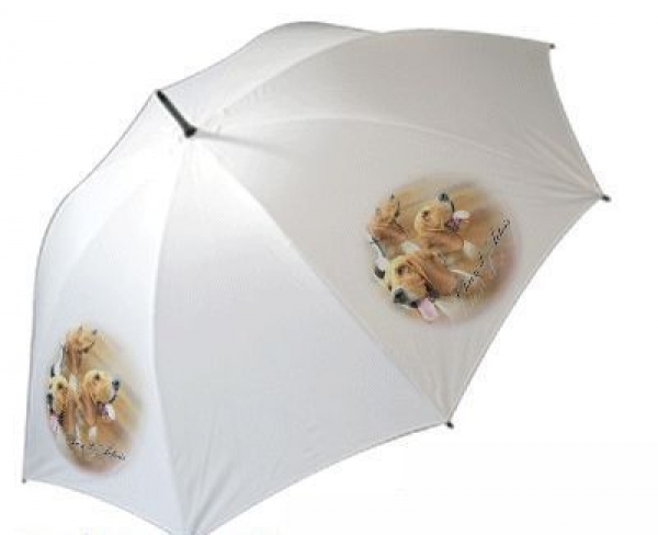 Regenschirm Motiv Chien d Artois