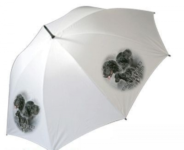 Regenschirm Motiv Epagneul Bleu de Picardie