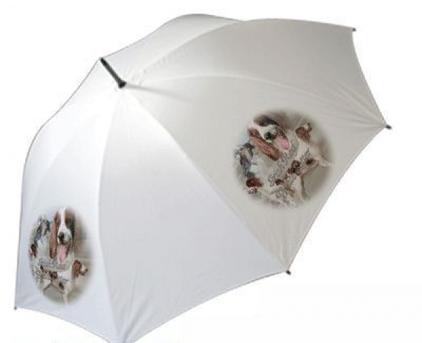 Regenschirm Motiv Irischer Rot-Weißer Setter