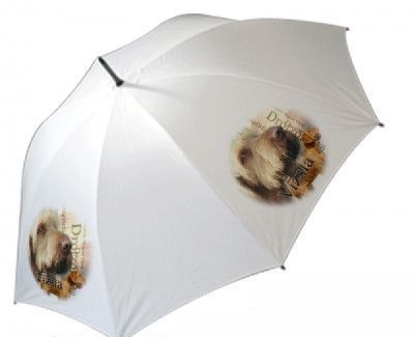 Regenschirm Motiv Vizsla 2 Ungarischer Vorstehhund 
