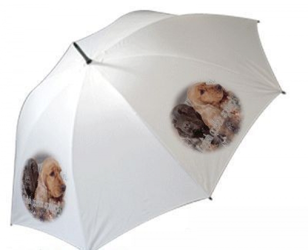 Regenschirm Motiv Englisch Cocker Spaniel mix