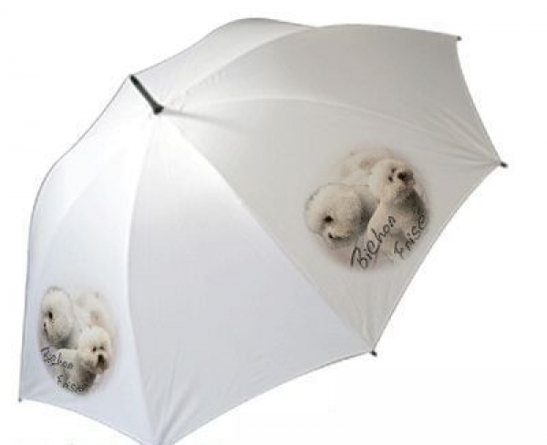 Regenschirm Motiv Bichon Frise / Gelockter Bichon