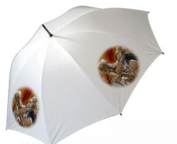 Regenschirm Motiv Galgo Espanol / Spanischer Windhund