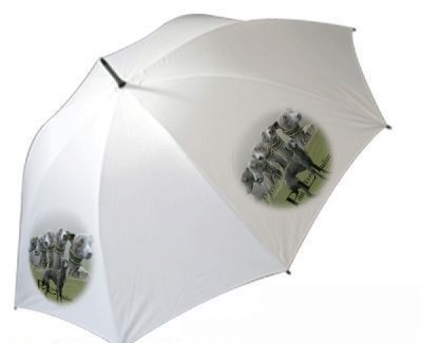 Regenschirm Motiv Petit levrier italien / Italienisches Windspi