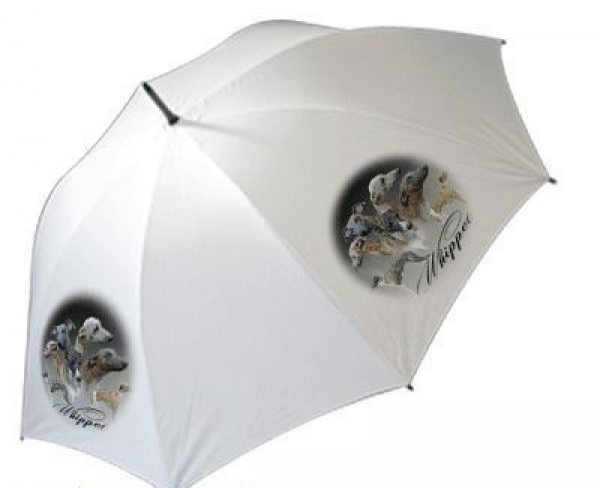 Regenschirm Motiv Whippet / Kleiner Englischer Windhund