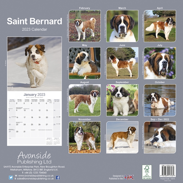 Kalender 2023 Bernhardiner