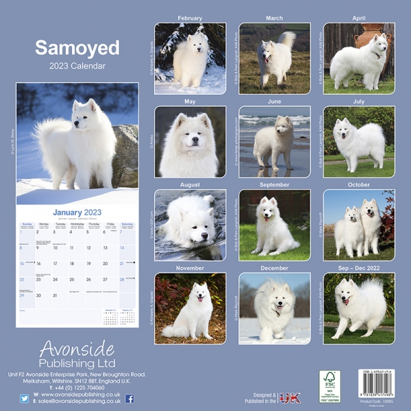 Kalender 2023 Samojede / Samojedenspitz