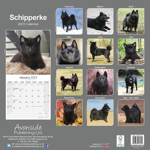 Kalender 2023 Schipperke