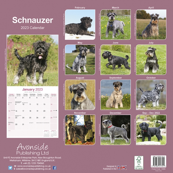 Kalender 2023 Schnauzer (Euro)