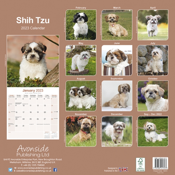Kalender 2023 Shih Tzu
