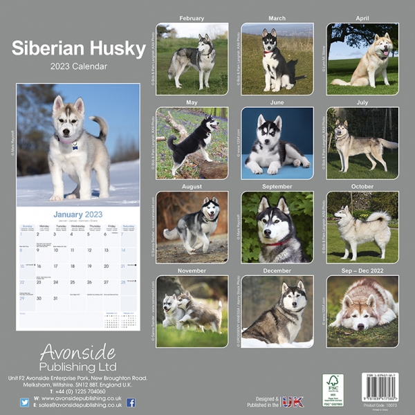 Kalender 2023 Siberian Husky