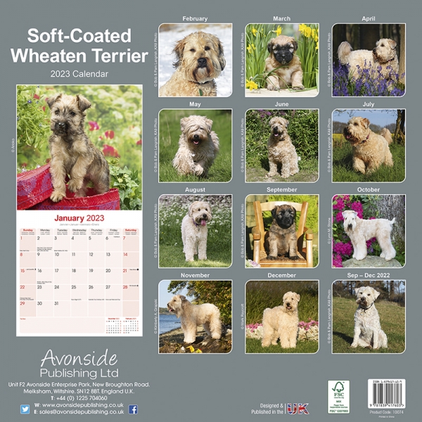 Kalender 2023 Soft Coated Wheaten Terrier