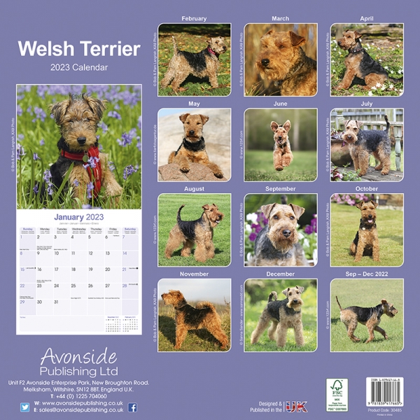 Kalender 2023 Welsh Terrier