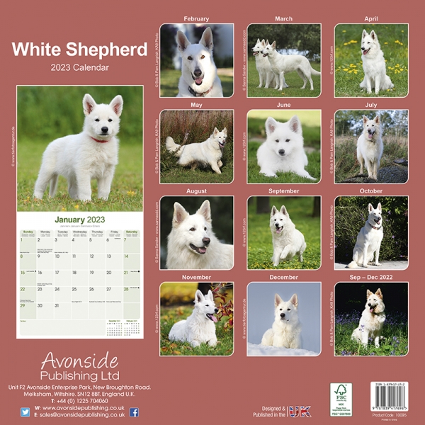 Kalender 2023 Weisser Schweizer Schäferhund