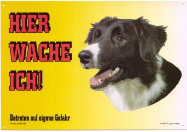 Warnschild Border Collie