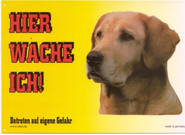 Warnschild Labrador Retriever blond