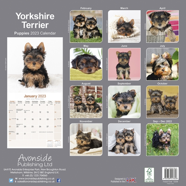 Kalender 2023 Yorkshire Terrier Welpen