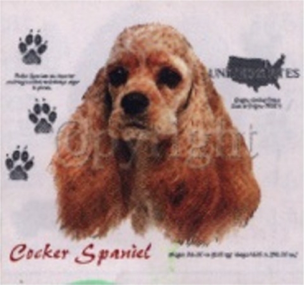 Motiv Cocker Spaniel braun 4