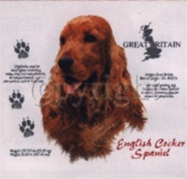 Motiv English Cocker Spaniel 4