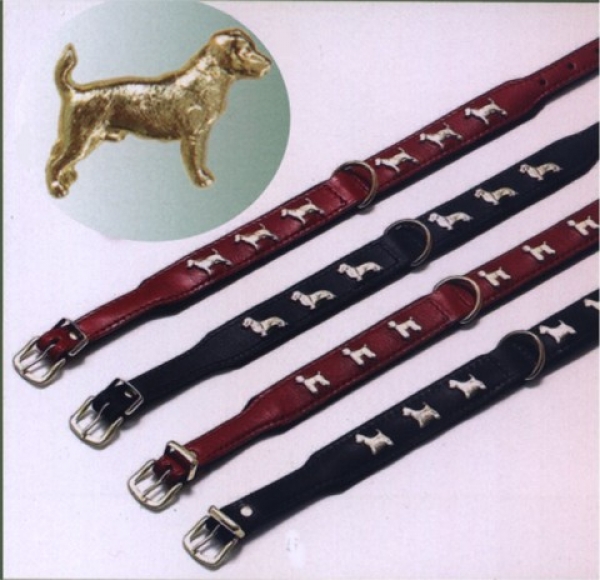 Motivhalsband Jack Russell Terrier