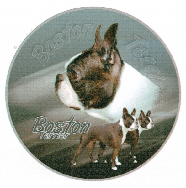 Aufkleber Boston Terrier - 2