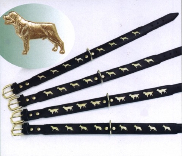 Motivhalsband Rottweiler