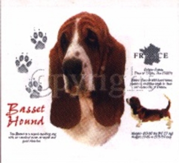 Motiv Basset Hound 4