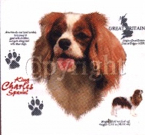 Motiv King Charles Spaniel 4