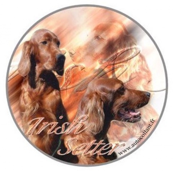 Aufkleber Irish Setter