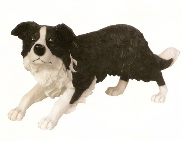 Hundefigur Border Collie in Habachtstellung