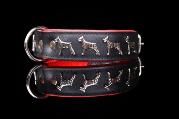 Motiv Halsband Dobermann Pinscher 4cm breit Lederhalsband