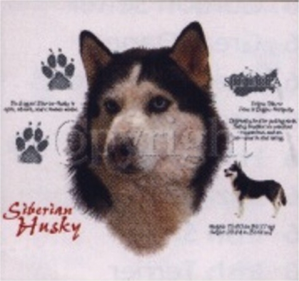 Motiv Husky 4