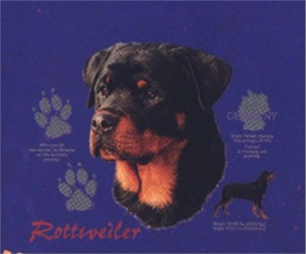 Motiv Rottweiler Pfoten