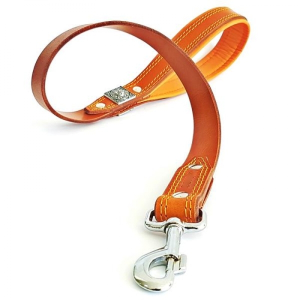 Lederleine Leine für Eros Molosser Halsband braun