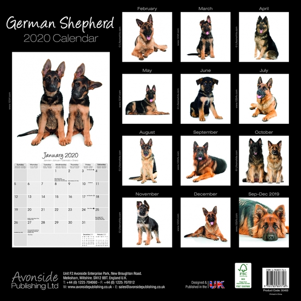 Studio Kalender 2023 Deutscher Schäferhund